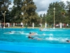 triatlon-5